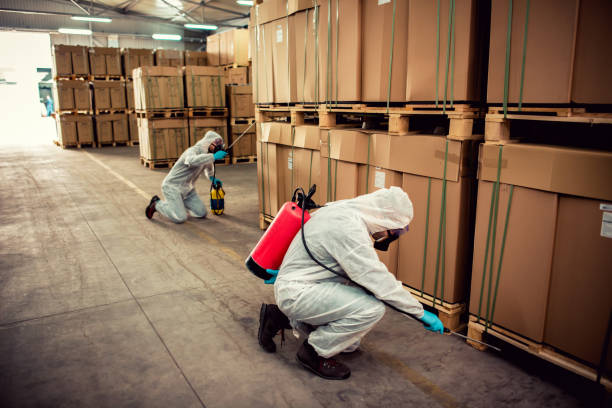 Best Affordable Pest Control Services  in Tryon, NC