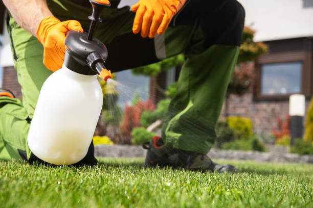 Best Best Pest Control Companies  in Tryon, NC