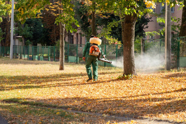 Best Residential Pest Control  in Tryon, NC