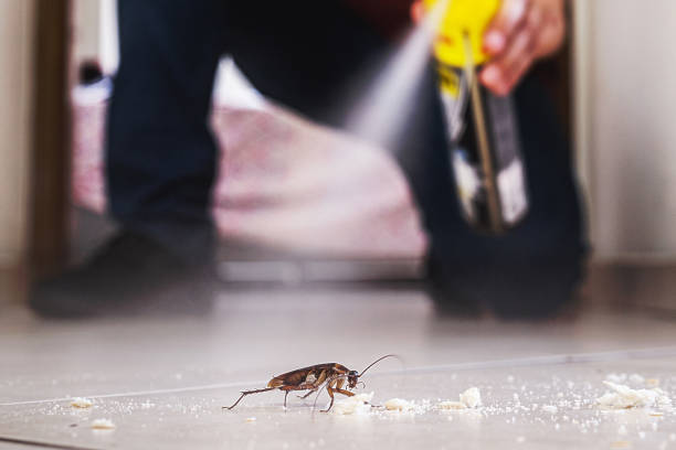 Best Cockroach Control Services  in Tryon, NC